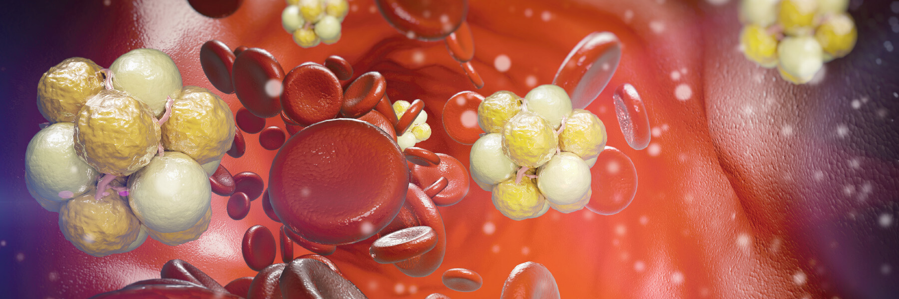 Natural Pharmaceuticals CholestControl™ 3D-illustratsioon, mis kujutab veresooni sisemust punaste vererakkude ja rasvaosakeste (lipiidide) kogumitega, sümboliseerides lipiidide transporti veres ja võimalikku seost kolesterooliga.
